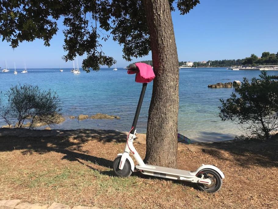 Apartment Capo D'Oro Rovinj Buitenkant foto