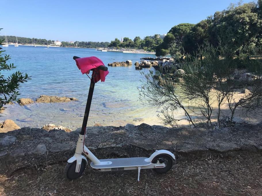 Apartment Capo D'Oro Rovinj Buitenkant foto